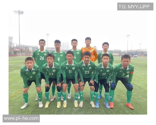 西安街舞队团队协作能力深度对比与分析探讨